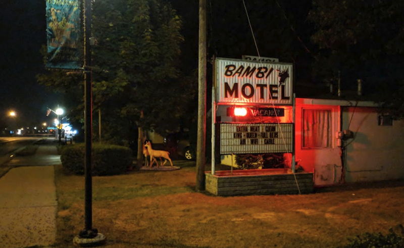 Bambi Motel - Web Site Photo